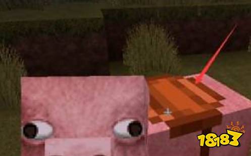 我的世界怎么驯服猪