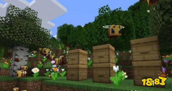 我的世界怎么收集蜂蜜