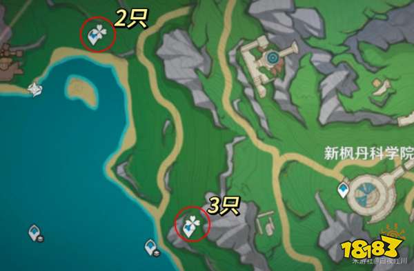 原神呈藍(lán)色的野生生物有哪些 原神圖形對(duì)抗實(shí)驗(yàn)錄第三天拍攝位置