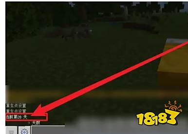 我的世界怎么看生存天数