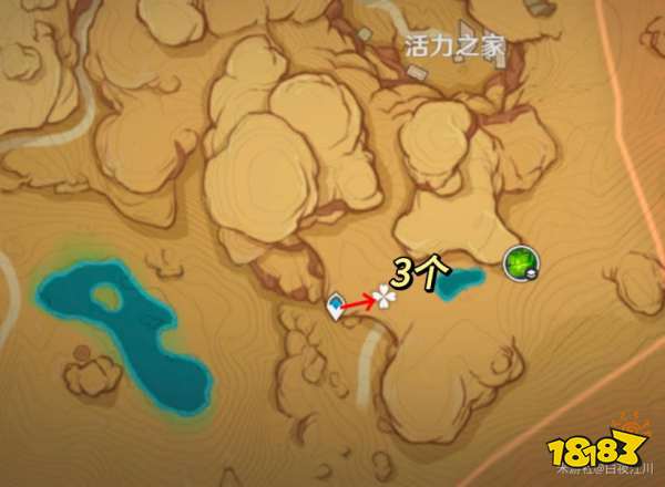 原神今日拍照任務攻略 原神今日拍照點位在哪里