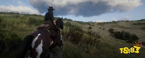 荒野大镖客2steam版启动不了