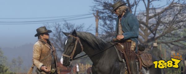 荒野大镖客2steam版启动不了