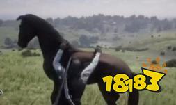 荒野大镖客2上马按键