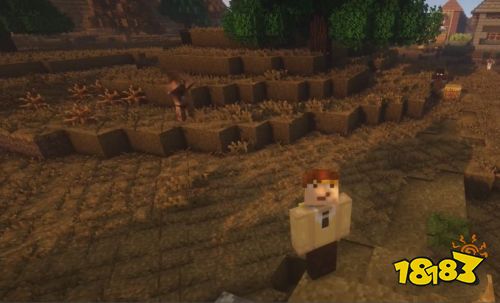 我的世界惊变100天僵尸进化过程