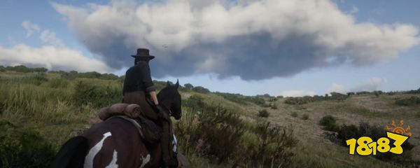 荒野大镖客2死了有什么损失