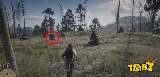 荒野大镖客2线上藏宝图怎么获得