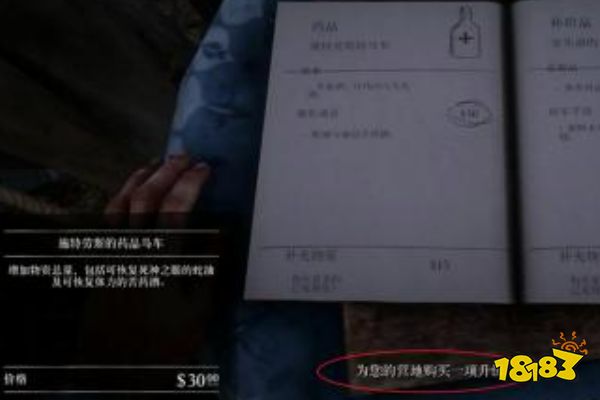 荒野大镖客2营地怎么升级