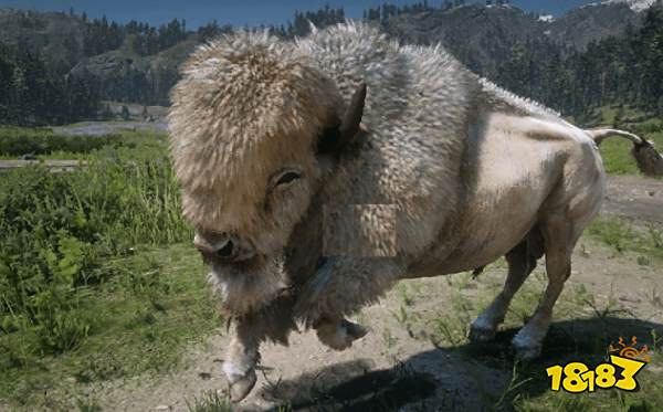 荒野大镖客2野牛刷新必出地点