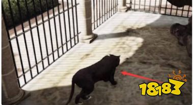 gta5佩里科岛猎豹雕像怎么出