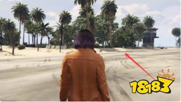 gta5佩里科岛猎豹雕像怎么出
