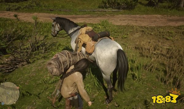 荒野大镖客2传说动物皮卖给谁