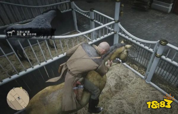 荒野大镖客2刷钱方法