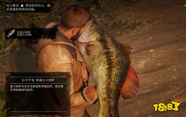 荒野大镖客2刷钱方法