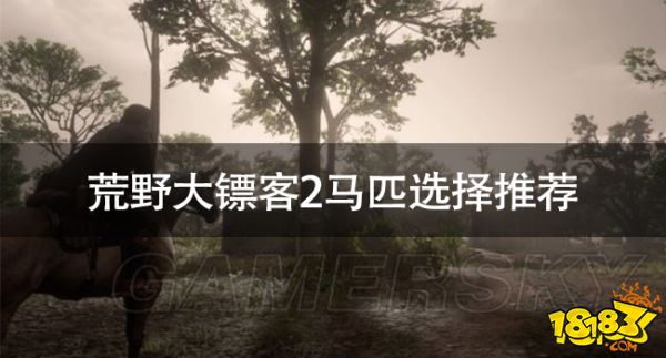 荒野大镖客2马匹选择推荐 荒野大镖客2马匹解说