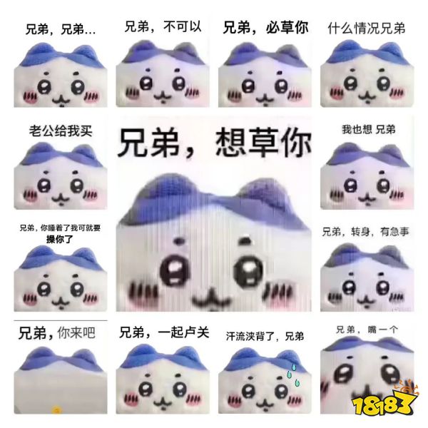 再发这只猫的话，你的号可能就要没了