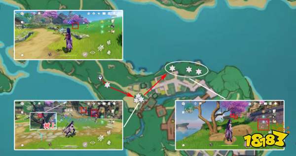 原神绯樱绣球收集路线汇总 绯樱绣球采集位置大全