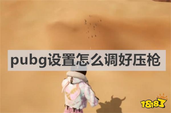 pubg设置怎么调好压枪 《pubg》压枪设置推荐