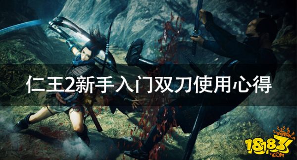 仁王2新手入门双刀使用心得 仁王2新手入门双刀使用攻略