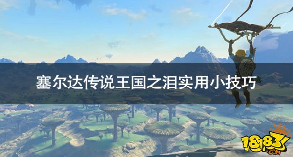 塞爾達(dá)傳說王國之淚實(shí)用小技巧