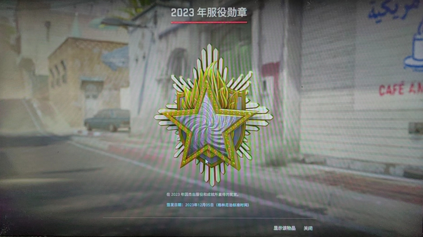 csgo胸章个人资料展示图片