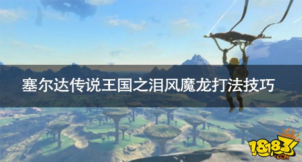 塞爾達(dá)傳說王國(guó)之淚風(fēng)魔龍?jiān)趺创?塞爾達(dá)傳說王國(guó)之淚風(fēng)魔龍打法技巧