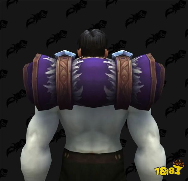 魔兽资讯:完成龙之军团后可在珊蒂斯·羽月处获得暗夜精灵幻化装备!