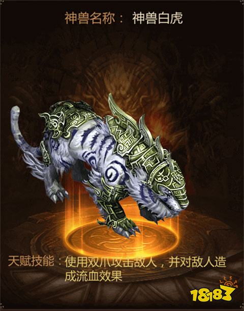 星空传奇安卓版