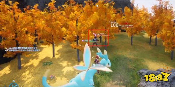 幻兽帕鲁开荒最强宠物推荐 开局抓什么宠物比较好