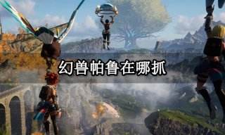 幻兽帕鲁在哪抓 战斗帕鲁地图位置一览