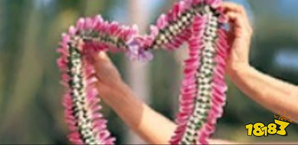 如龙8夏威夷测试2级答案是什么 夏威夷测试2级答案分享