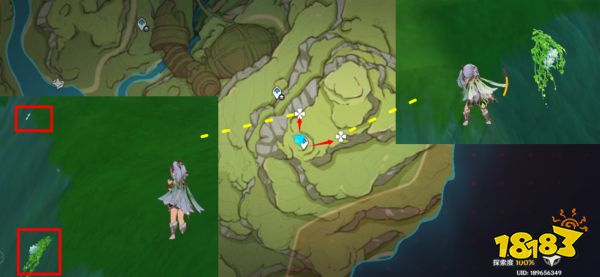 原神草神突破材料在哪收集 纳西妲突破材料采集路线