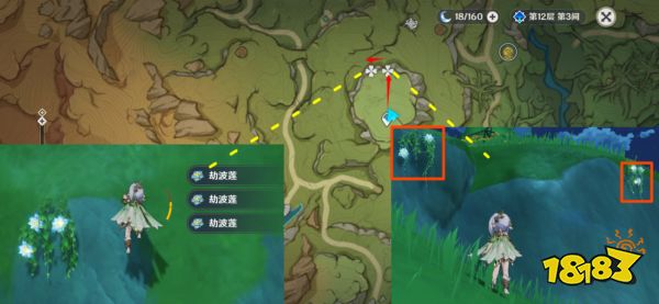 原神草神突破材料在哪收集 纳西妲突破材料采集路线