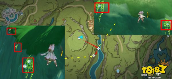 原神草神突破材料在哪收集 纳西妲突破材料采集路线