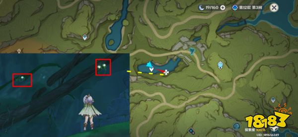 原神草神突破材料在哪收集 纳西妲突破材料采集路线