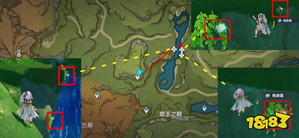 原神草神突破材料在哪收集 纳西妲突破材料采集路线