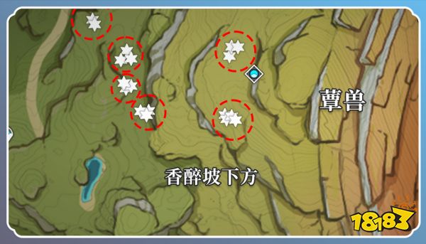 原神草神突破材料在哪收集 纳西妲突破材料采集路线