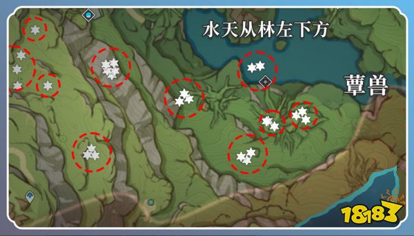 原神草神突破材料在哪收集 纳西妲突破材料采集路线