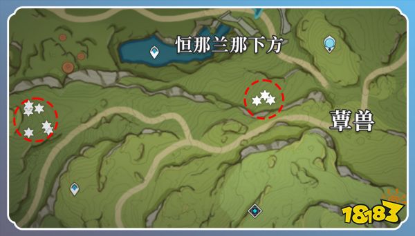 原神草神突破材料在哪收集 纳西妲突破材料采集路线