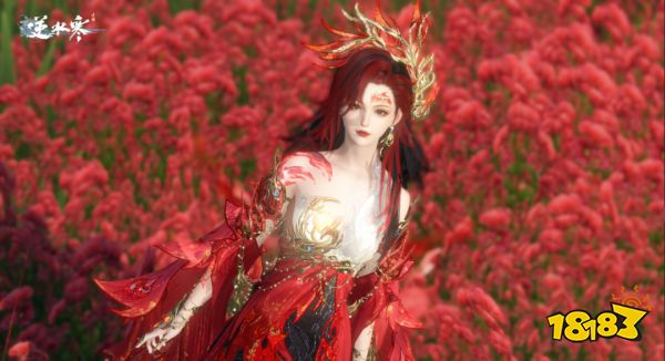 逆水寒九天玄女可以使用半價(jià)卷嗎 九天玄女最低價(jià)格獲取
