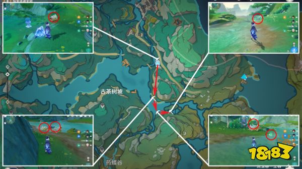原神清水玉采集路線大全 清水玉在哪里收集