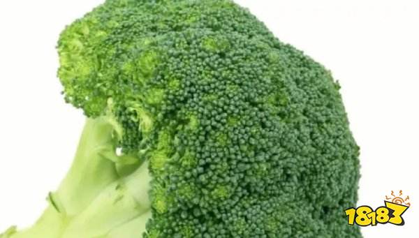 如龙8肌肉博士测试题答案是什么 肌肉博士证书测试题攻略