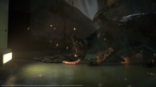《死亡擱淺2》官方遊戲截圖公佈!享受頂級視覺盛宴