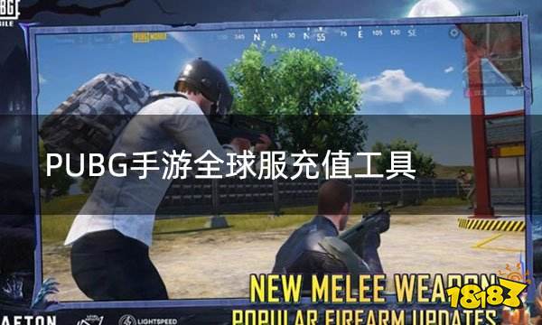 PUBG手游全球服充值工具 全球服24年最新充值网站推荐