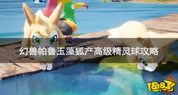 幻兽帕鲁玉藻狐可以产高级精灵球吗 幻兽帕鲁玉藻狐产高级精灵球攻略
