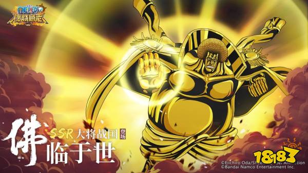 航海王燃烧意志统领海军的强大儒帅 SSR大将战国登场