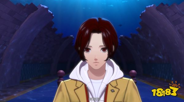 女神异闻录夜幕魅影新手阵容推荐 P5X新手用什么阵容好