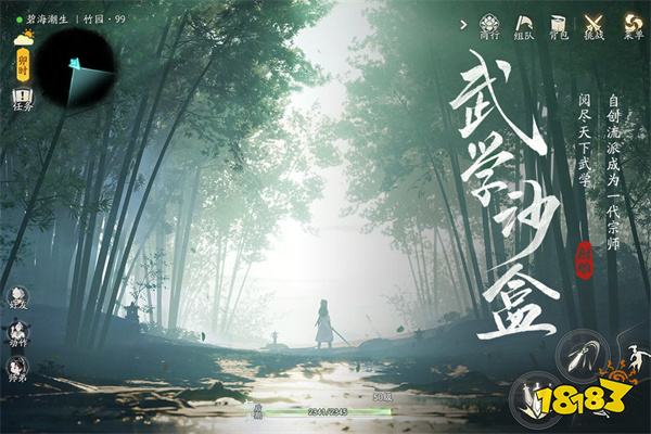 射雕网易游戏1.0