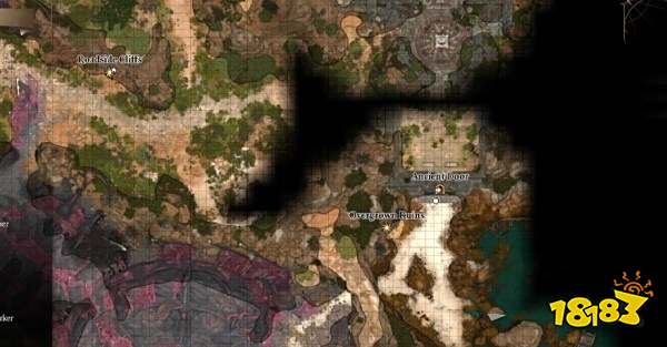 博德之门3阴暗墓穴守墓人攻略 阴暗墓穴守墓人位置及选项攻略