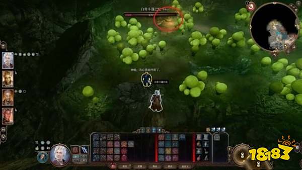 博德之门3找到蘑菇猎人任务攻略 找到蘑菇猎人任务怎么做